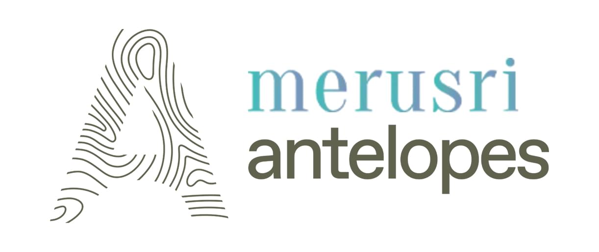 merusri antelopes villas price